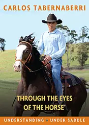 DVD Review