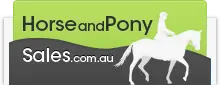 Website Reviews