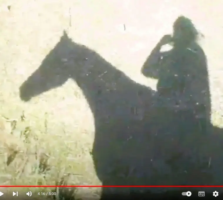 True Trust – Bareback and Bridle-less