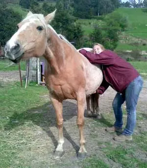 Does your horse love you?