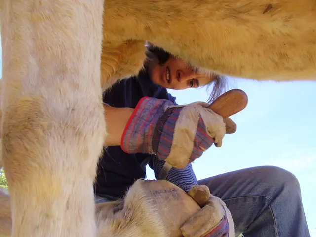 Learning Hoof Care