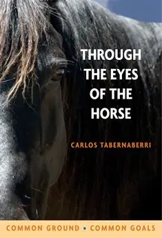 Through The Eyes Of The Horse by Carlos Tabernaberri
