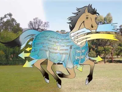 Horse Rug Heating Facts