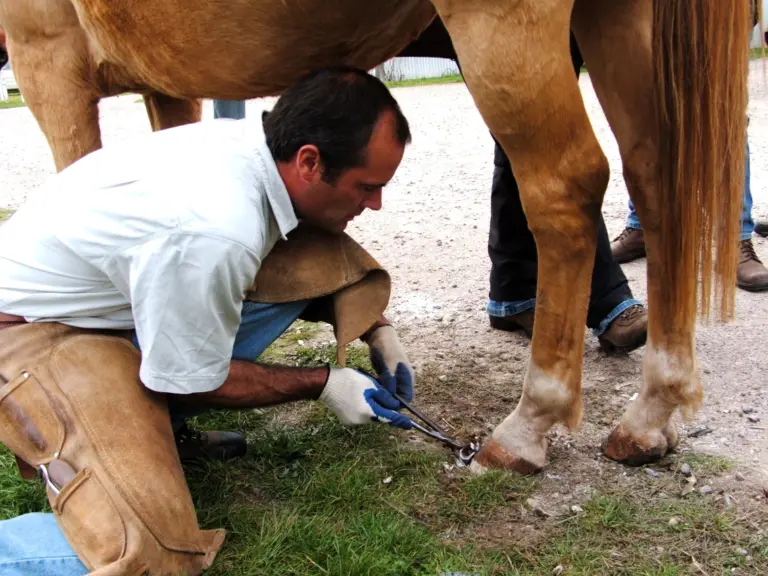 Ask Cynthia – ‘Hoof Handling Problem’