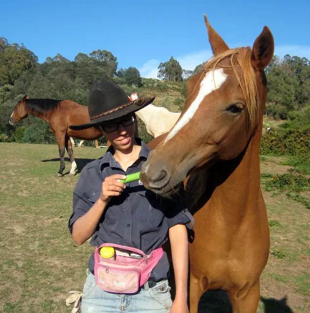 Why I Use Chemical Wormers – Encysted Strongyles