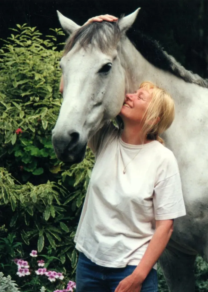 Herbal Medicine For Horses