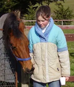 Treats for Horses – Why Use Them?