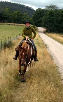 How to help your herd bound horse