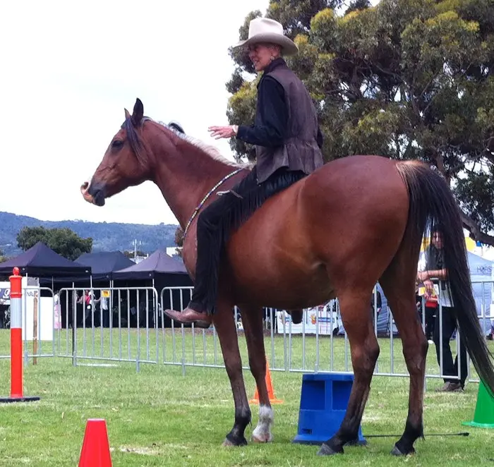 Wrangler Jayne’s Horsemanship With Heart Program