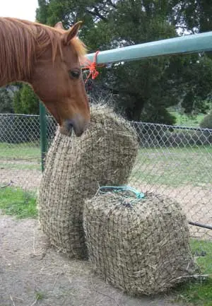 Slow Feed Haysaver Haynets