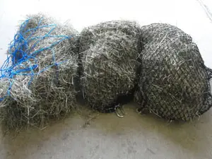 Small hole hay nets extend hay feeding times.