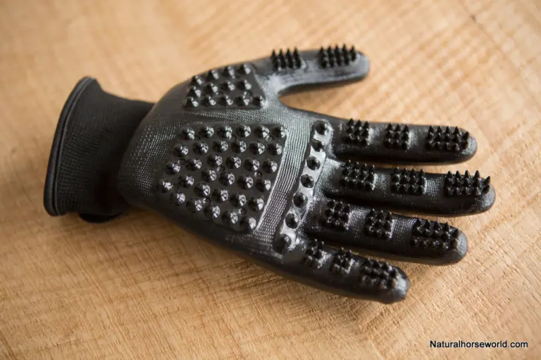 Exciting New Grooming Gloves