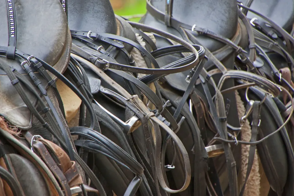 How to care for your leather bridle and saddle