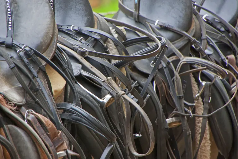 How to care for your leather bridle and saddle