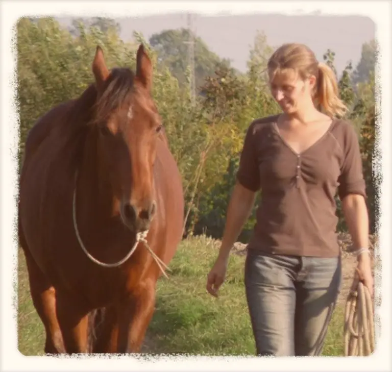 My favourite horsemanship blogs
