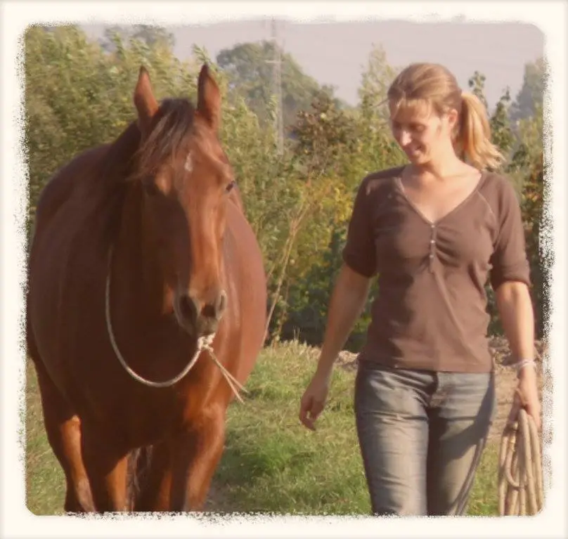 My favourite horsemanship blogs