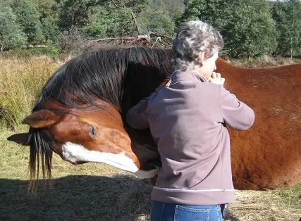 The Power of Connection and Loving Touch