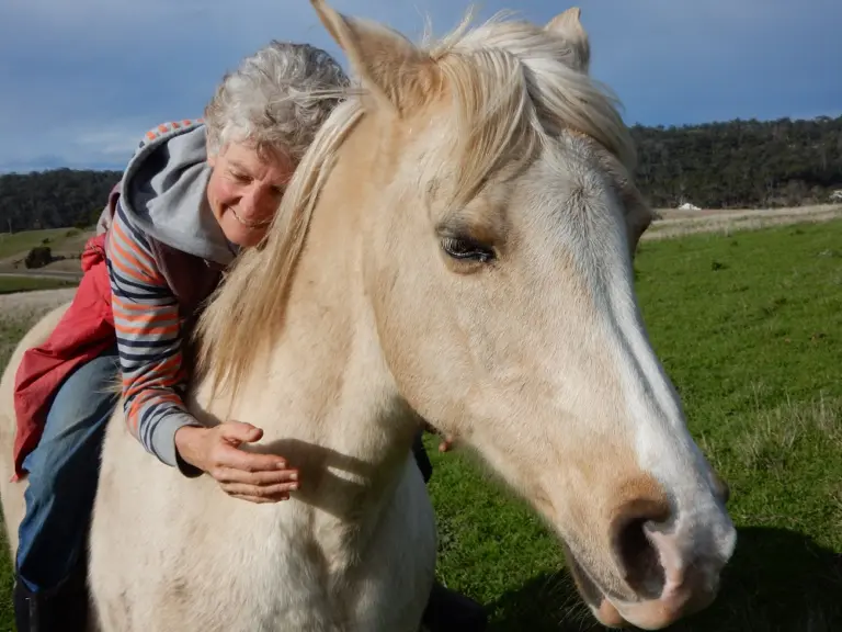 10 Things My Horses Give Me
