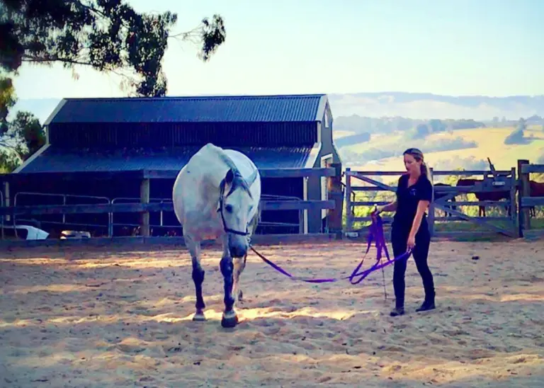 Lunging to Connection: A Road Less Travelled