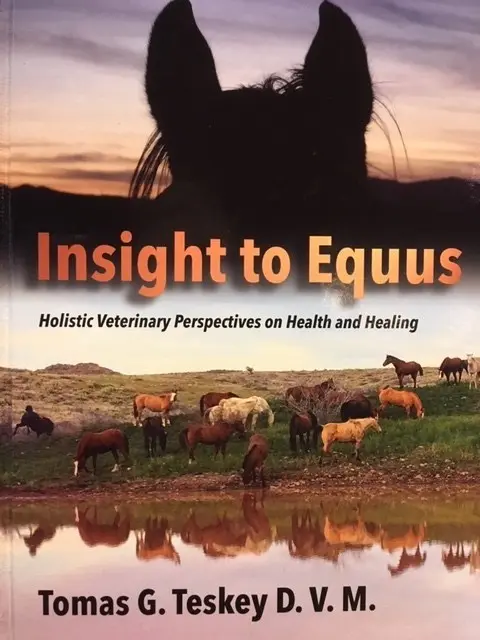 Insight To Equus by Tomas Teskey