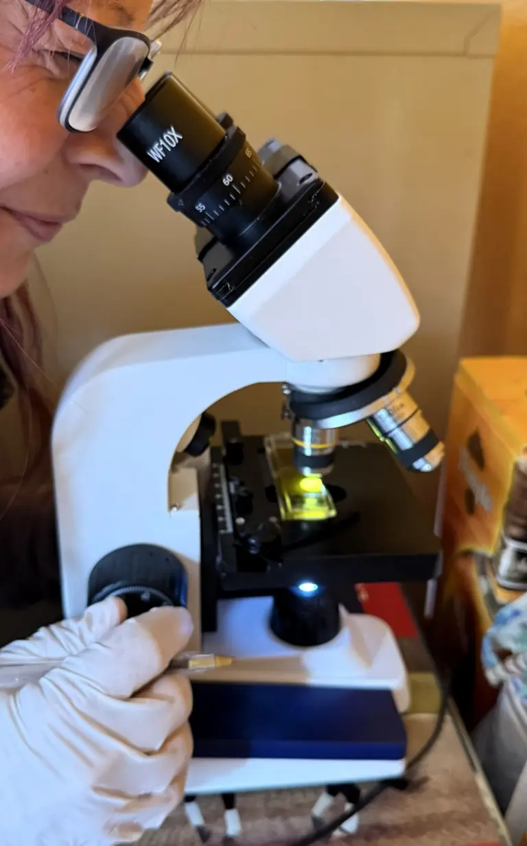 How to take Fecal Egg Counts