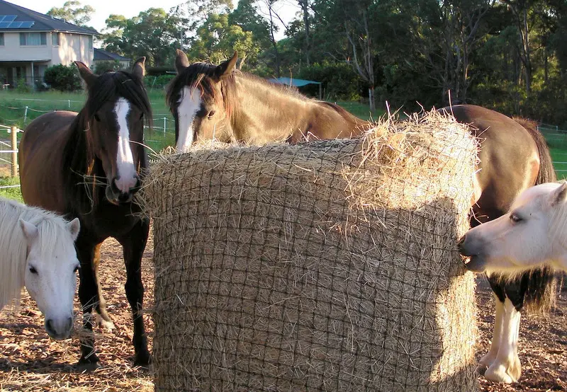 HaySaver Super Tuff 6cm/60 ply Round Bale Net