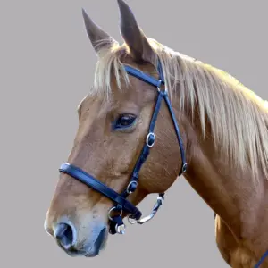 LightRider Stockhorse Bitless Bridle