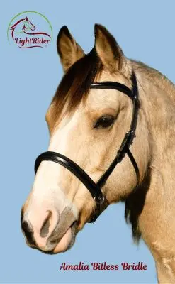 Amalia Bridle BlackMainPic