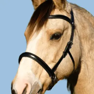 Amalia Bridle BlackMainPic