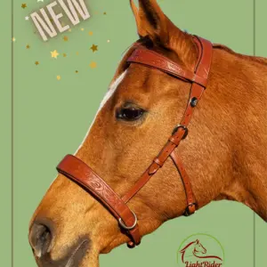 Amalia Western Bitless Bridle