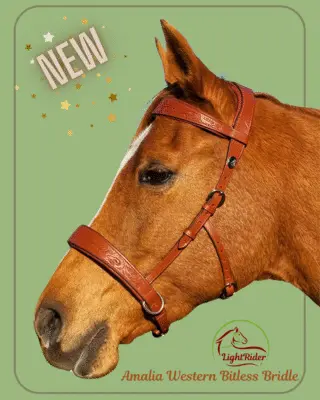 Amalia Western Bitless Bridle