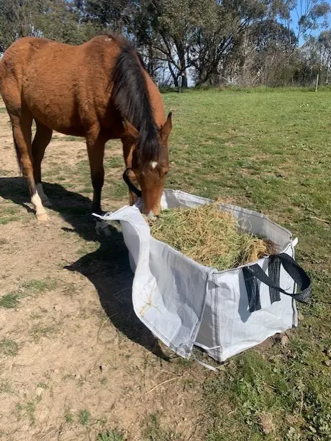 BagABale The Affordable Hay Transport Bag