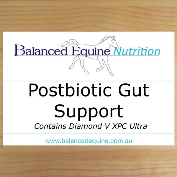 Postbiotic Gut Support - 2kg Contains Diamond V XPC Ultra