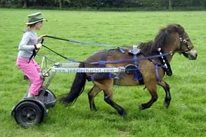 Bitless Driving - Natural Horse World Bitlesssaddlechariot