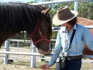 Halter Hooki – Easy fastening & breakaway for rope halters & bridles - Natural Horse World BoroniaShire