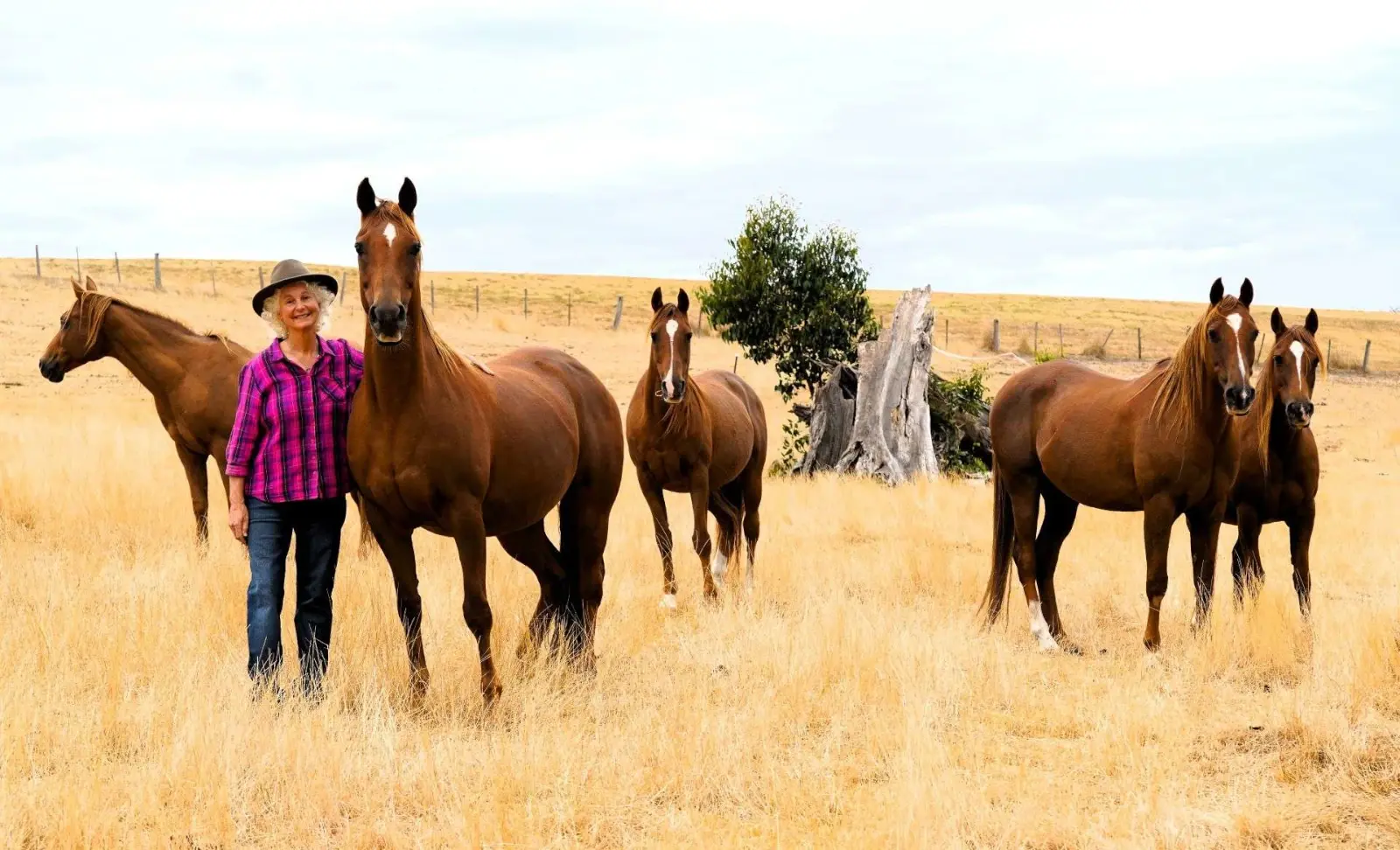 Cynthia with her horse herd in summer