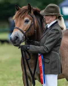 LightRider Amalia Bitless Bridle - Natural Horse World Monsieur Chapeau, winning a championship at the MEPBG Exmoor Pony Show at Brendon Show (Image: Geoff Baylis)