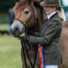 Monsieur Chapeau, winning a championship at the MEPBG Exmoor Pony Show at Brendon Show (Image: Geoff Baylis)