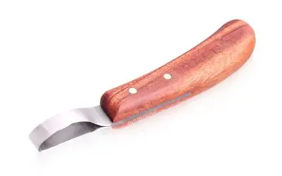 Bassoli 14″ Hoof Rasp - Natural Horse World HallLoopKnifeAngle