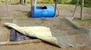 Hoofbath1