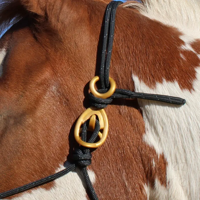 Hooki-gold-closeOnHalter