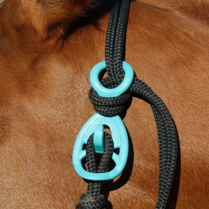 Hooki-turquoiseOnHalterHorse