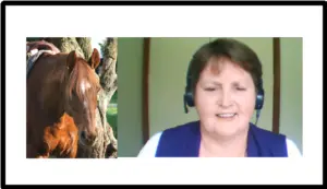 How to help your herd bound horse - Natural Horse World JennyPearce