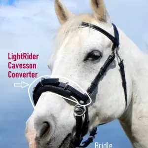 LightRider Cavesson Converter For Straightness Training & Lunging