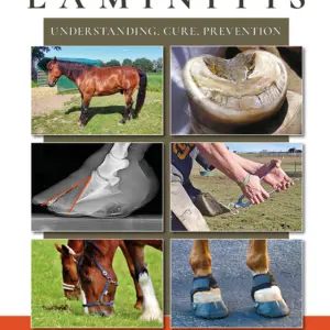 Laminitis Understanding, Cure, Prevention book.