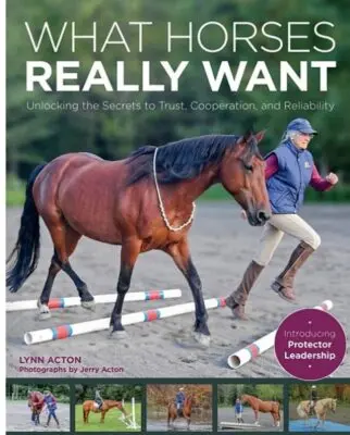 How to help your herd bound horse - Natural Horse World