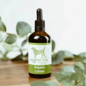 Organic calmer for dogs