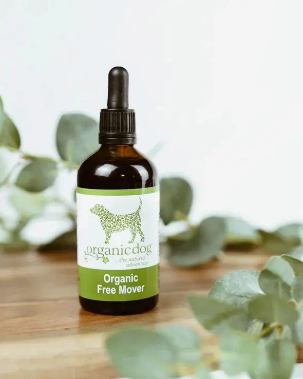 Organic Freemover for dogs