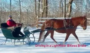 Bitless Driving - Natural Horse World