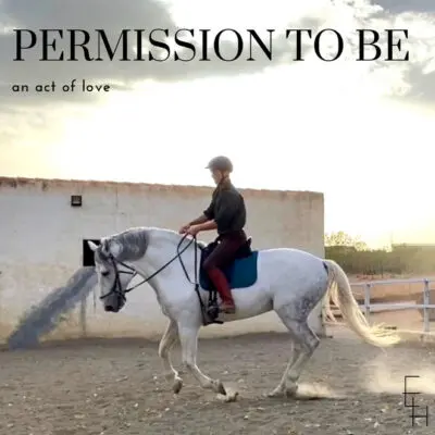 Halter Hooki – Easy fastening & breakaway for rope halters & bridles - Natural Horse World PermissionToBeLcokiePhillips